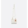 Sac Lady Dior Small Dioramour