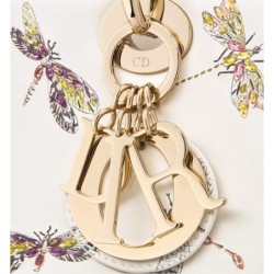 Sac Lady Dior Medium libellule multicolore