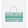 Sac Dior Book Tote East-West Dioriviera Aquamarina