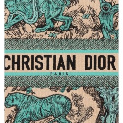 Sac Dior Book Tote Medium Dioriviera Aquamarina