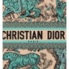 Sac Dior Book Tote Medium Dioriviera Aquamarina