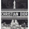 Sac Dior Book Tote Medium Paris noire et blanche