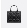 Sac Dior Book Tote Small noir
